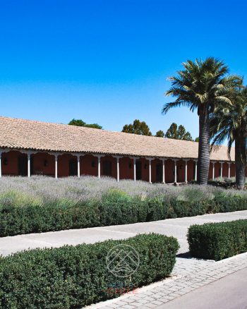 Viña Santa Rita no Valle del Maipo