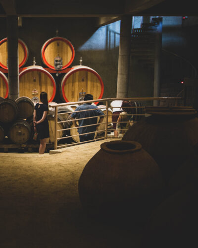 Bodegas Ré & Casas del Bosque - Image 18