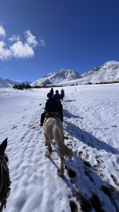 Cavalgada nos Andes - Imagem 20