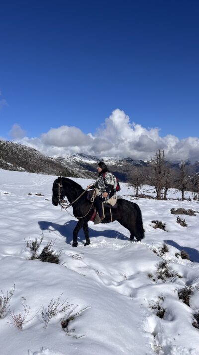 Cavalgada nos Andes - Imagem 19