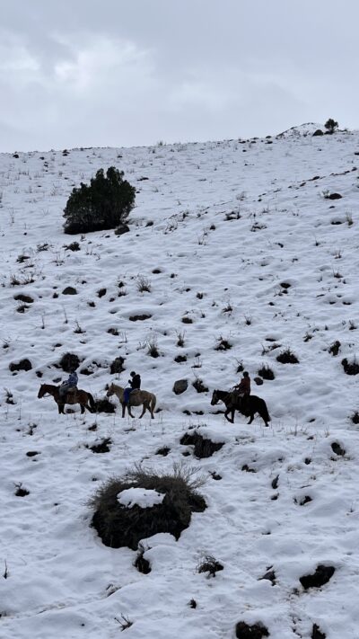 Cavalgada nos Andes - Imagem 16