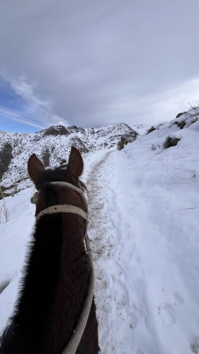 Cavalgada nos Andes - Imagem 15