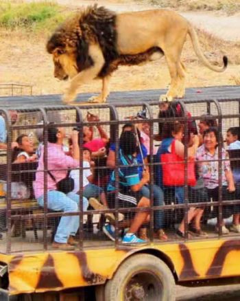 Parque Safari Rancagua