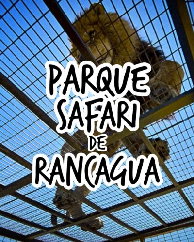 Parque Safari Rancagua